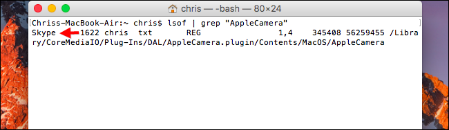 Результат команды lsof, показывающий процесс Skype
