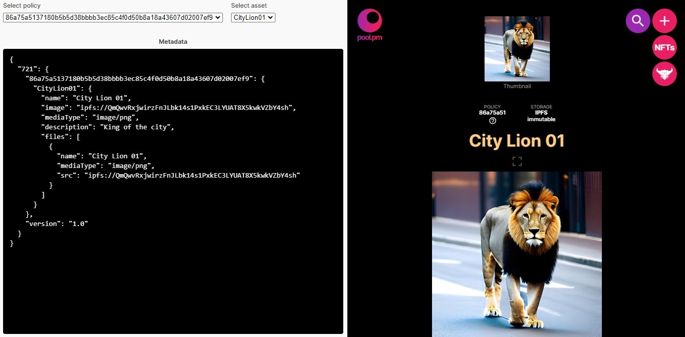 Скриншот: метаданные NFT отображены на Pool.pm