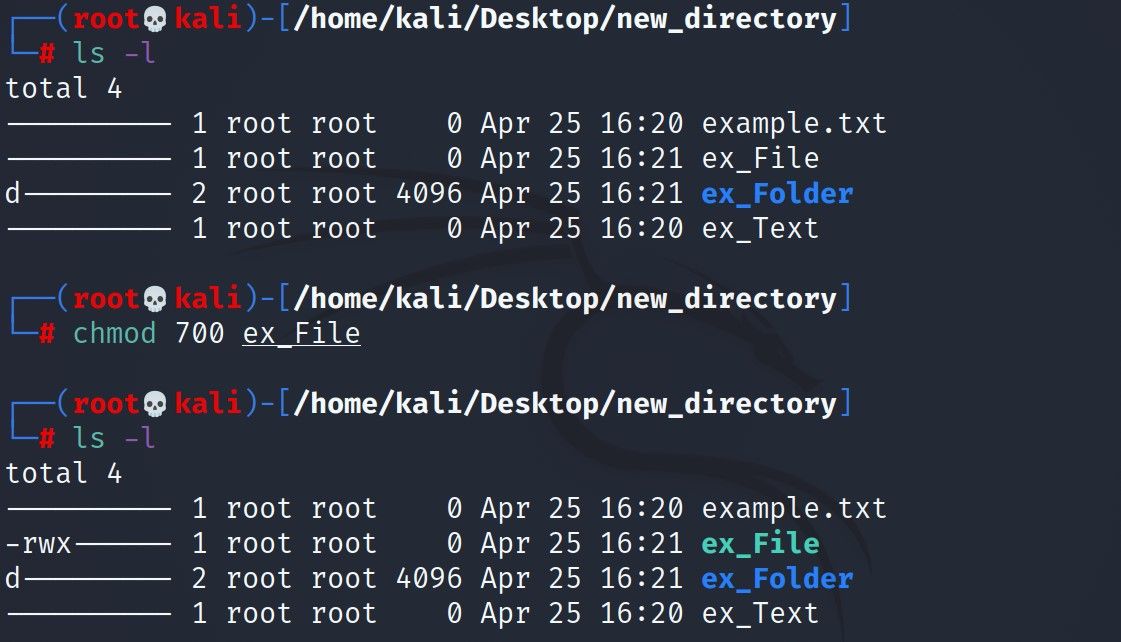 пример использования chmod 700