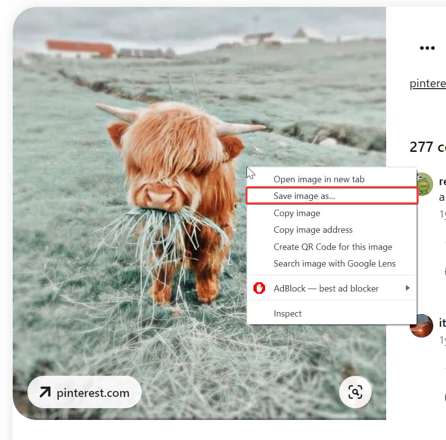 Контекстное меню браузера: «Сохранить изображение как…»