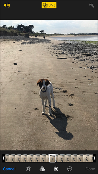 Интерфейс редактирования: инструменты кадрирования и корректировок