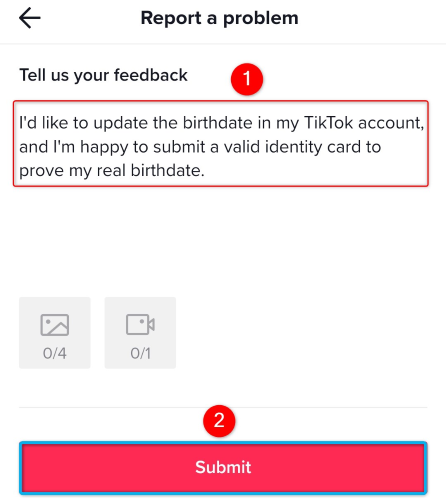 Введите запрос и нажмите «Отправить».
