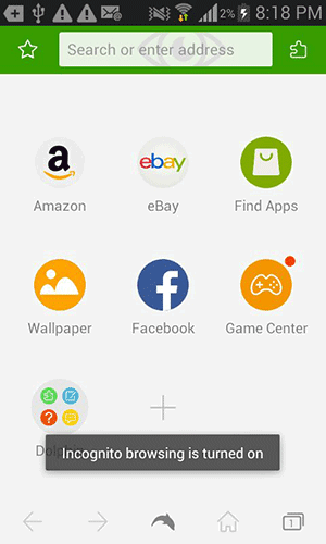 Подтверждение об активации приватного режима в Dolphin Browser.