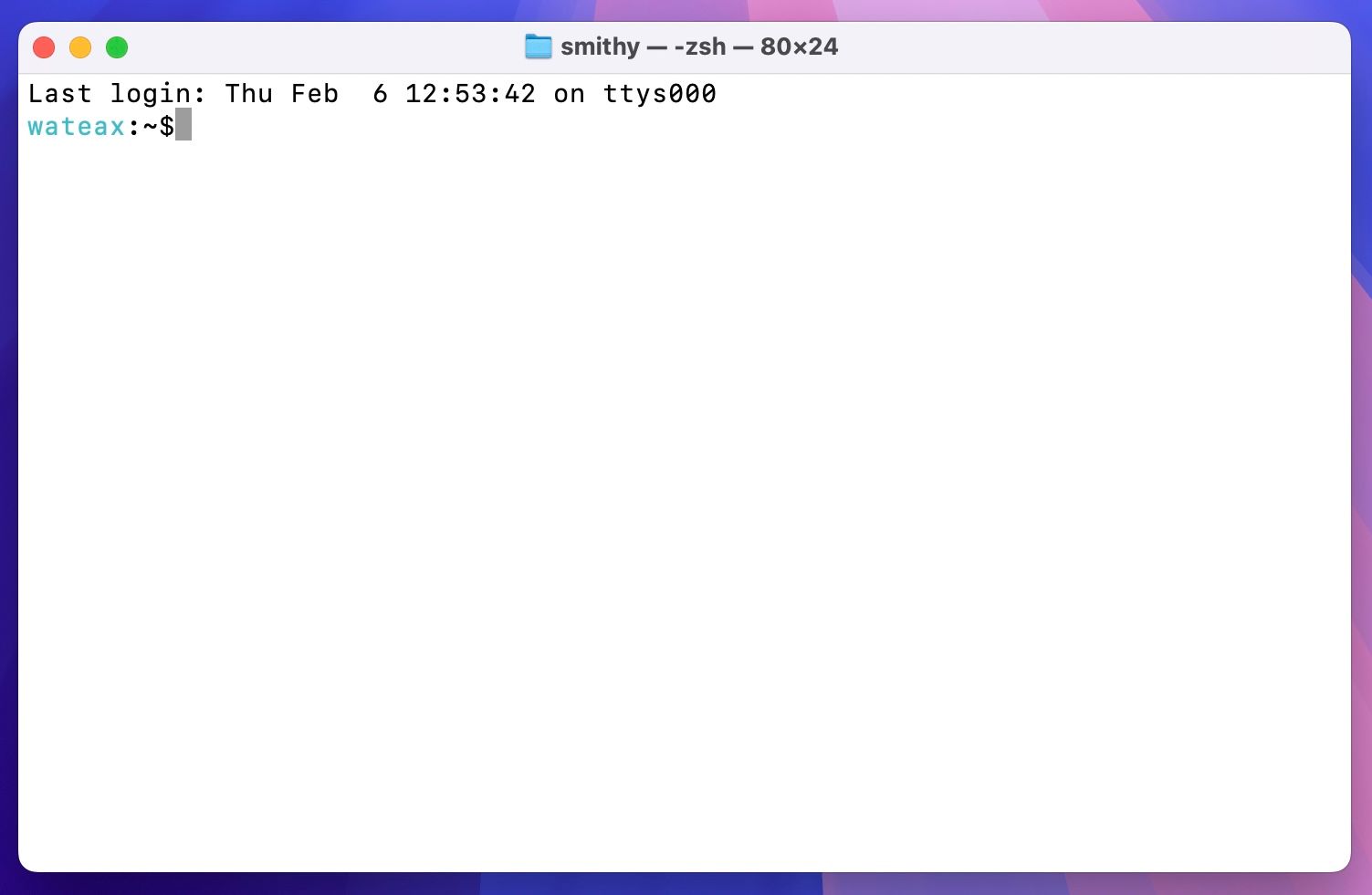 Окно Terminal на macOS на MacBook