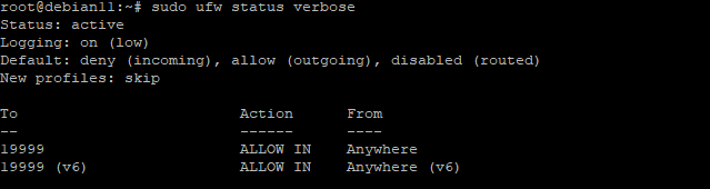 Скриншот вывода ufw с правилом для 19999