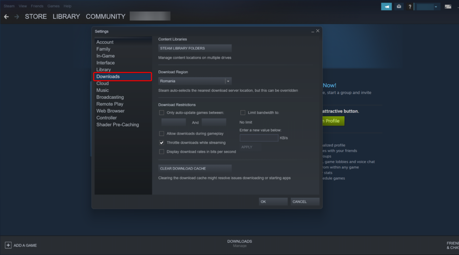 Панель Downloads в настройках Steam