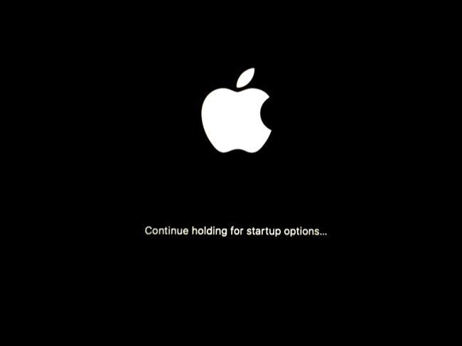 Сообщение «Continue holding for Startup Options» во время загрузки Apple Silicon