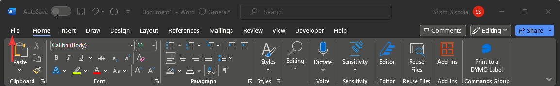 Пункт Файл в Word