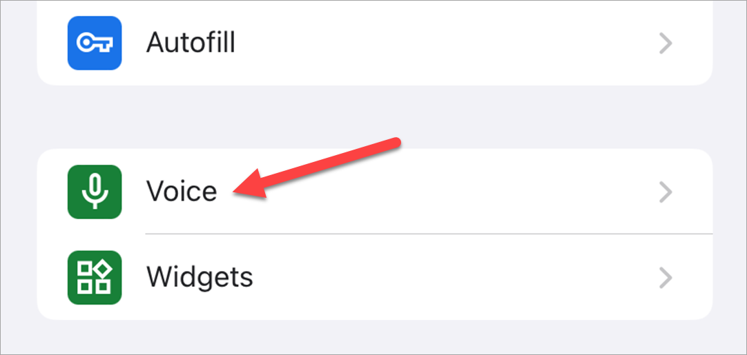 Настройки приложения Google на iPhone, раздел Голос.