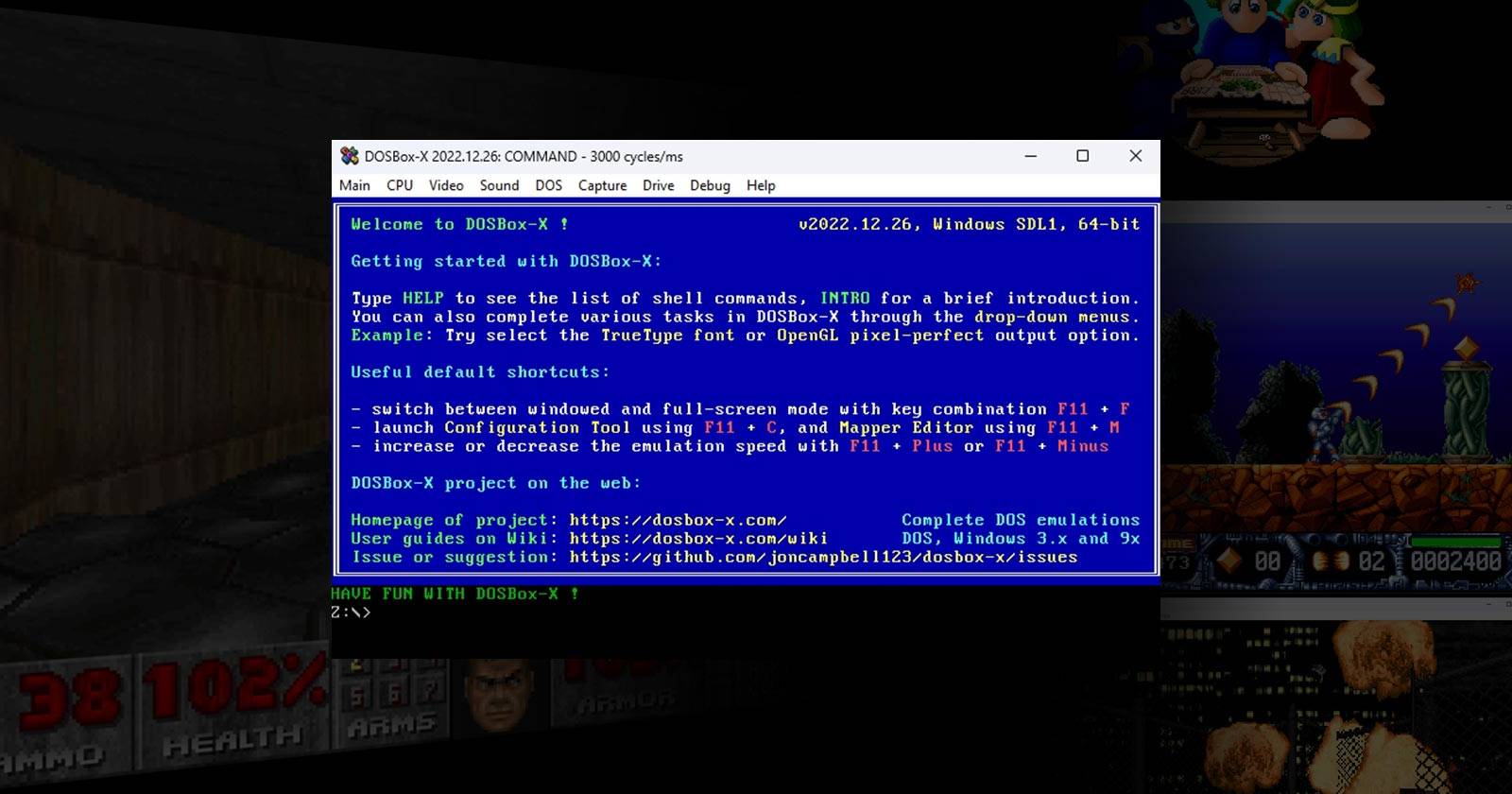 Интерфейс DOSBox-X — главное окно программы