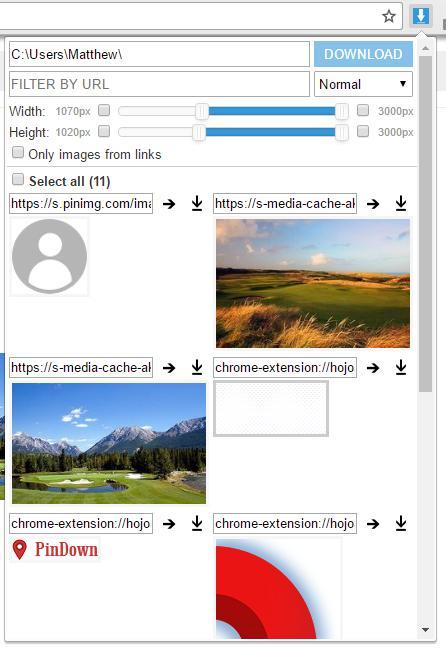Окно расширения Image Downloader — список изображений