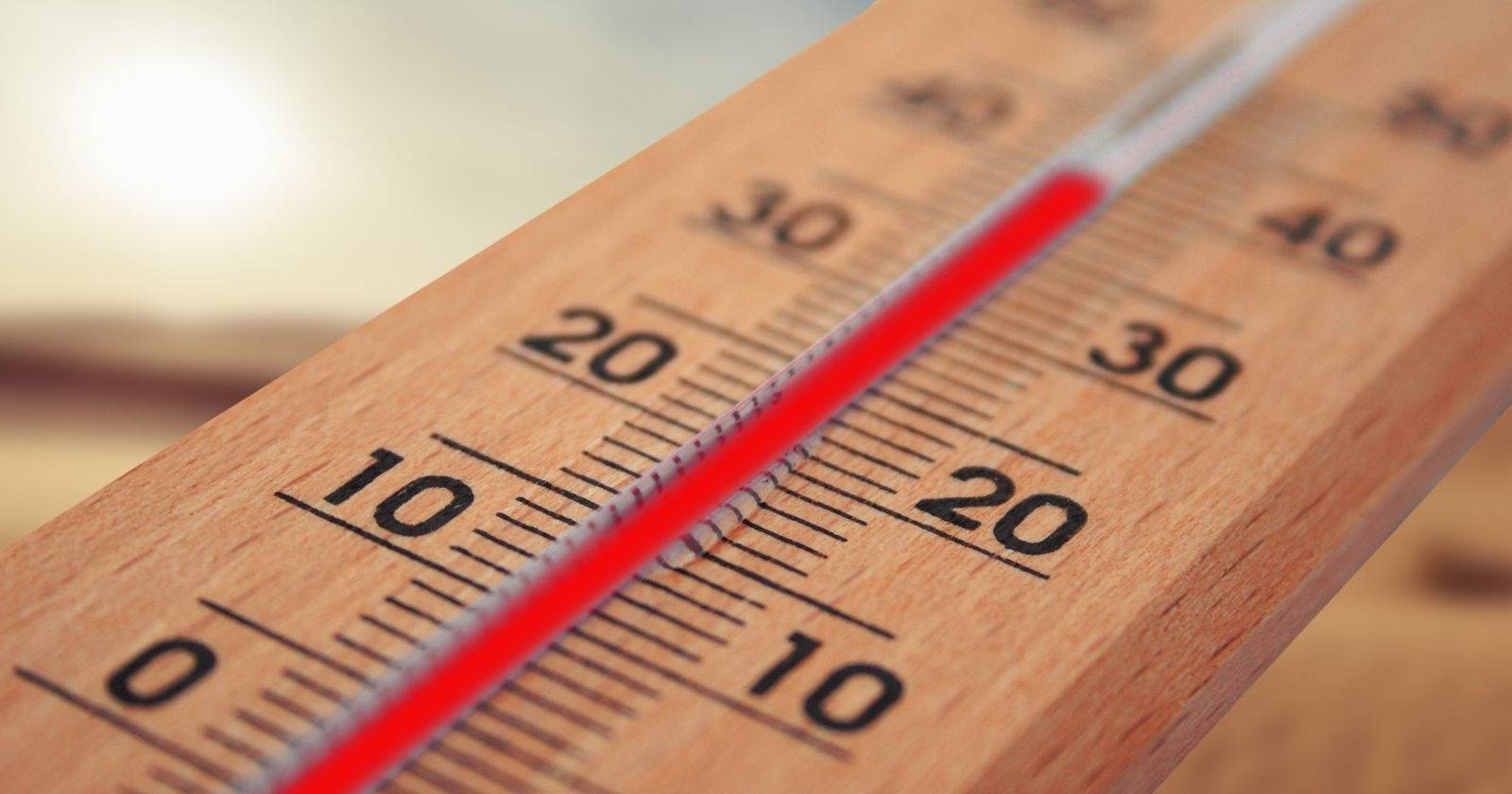 деревянный термометр с красной шкалой, указывающей температуру