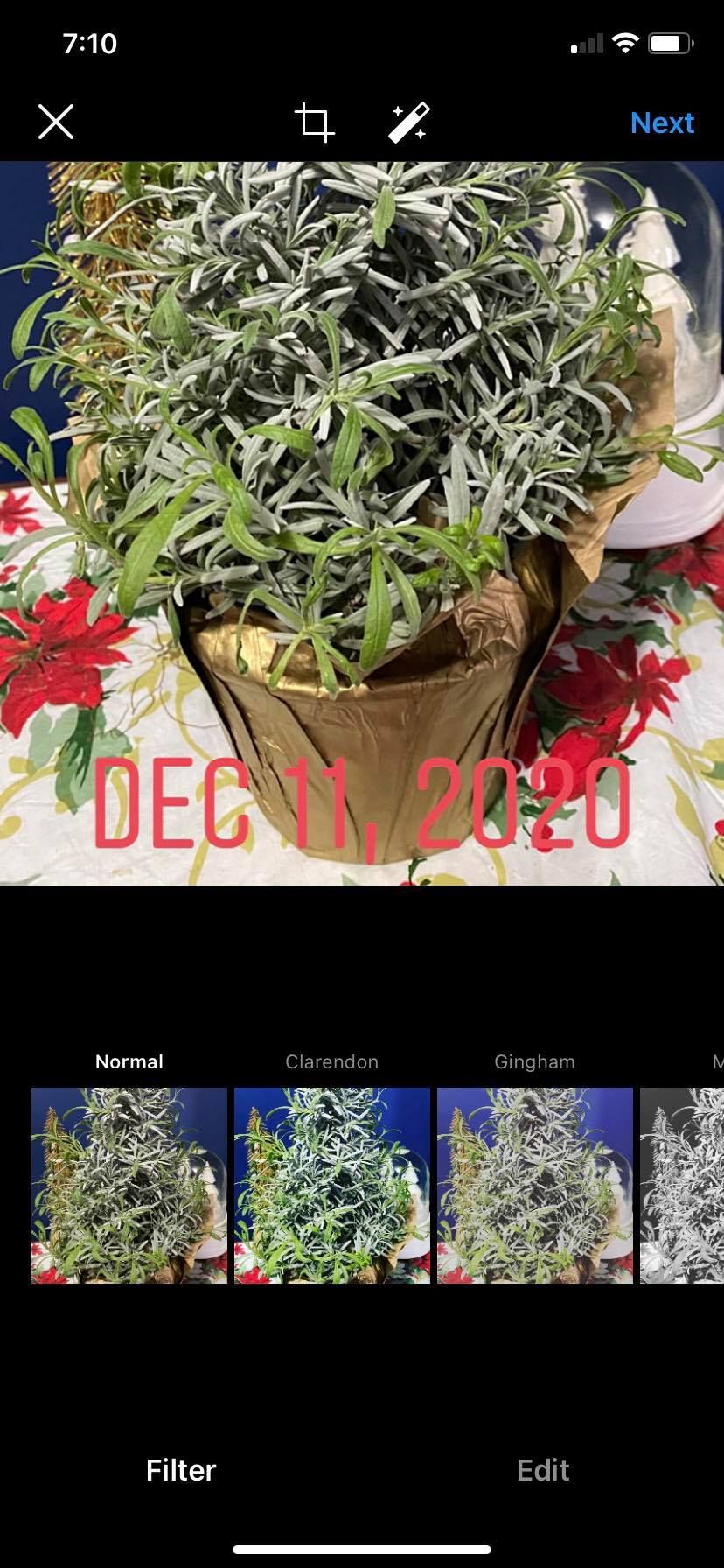 скриншот публикации Instagram