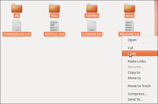 Копирование файлов в папку сайта