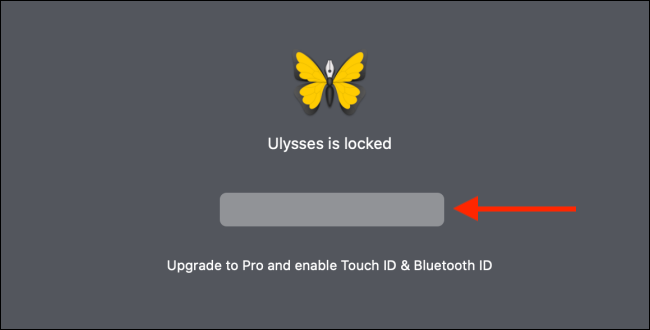 Enter the password to unlock the app