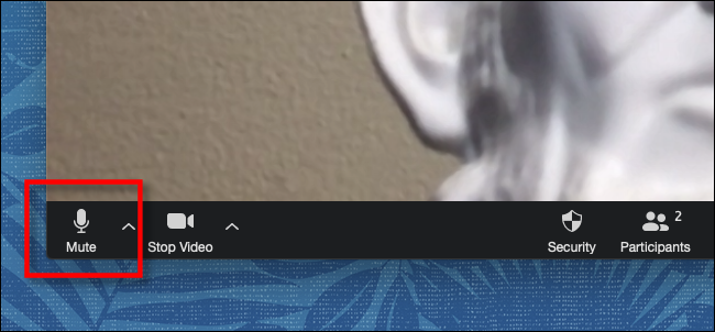 Нажмите кнопку «Mute» на панели инструментов Zoom