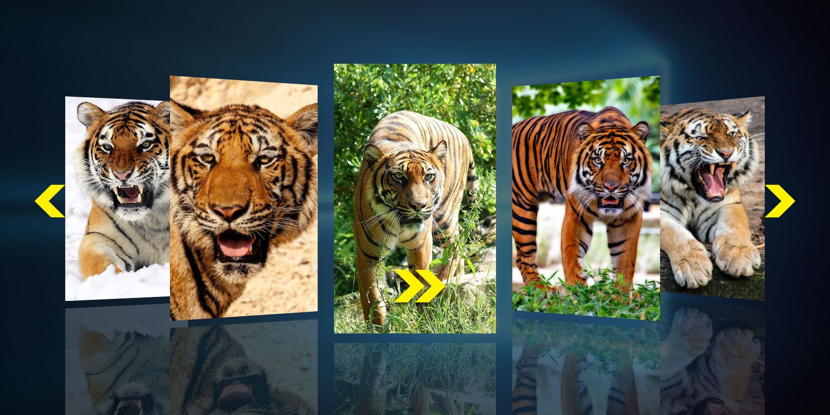 Как создать слайдшоу в Windows — инструменты и советы