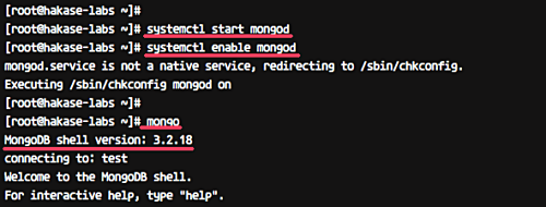 Установка MongoDB