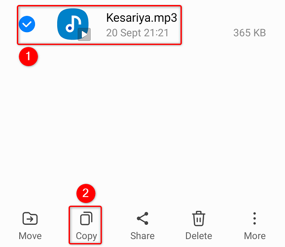 Выберите тон и нажмите Копировать