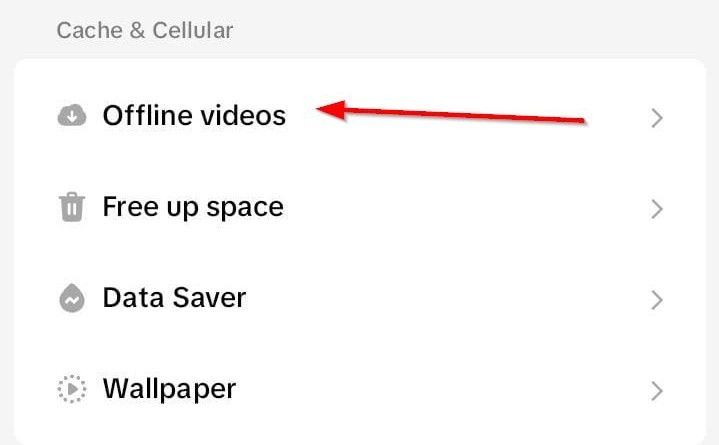 Вкладка Офлайн‑видео в настройках TikTok