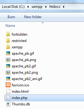 Корневая папка сайта в XAMPP