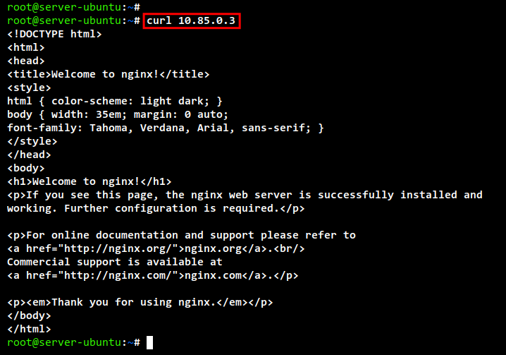 Доступ к nginx внутри Pod по его IP