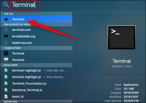 Результат поиска Spotlight с выделенным Terminal