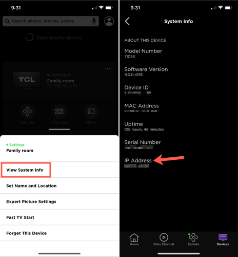 IP‑адрес устройства Roku в мобильном приложении.