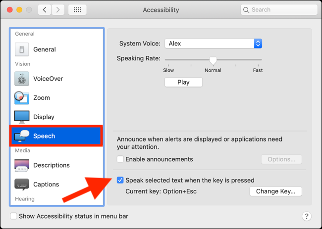 Установите галочку рядом с опцией «Говорить выделенный текст»