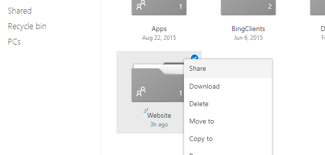 Папка DriveToWeb с файлами сайта