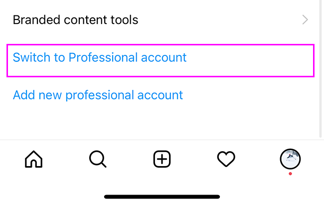 Опция Перейти на профессиональный аккаунт выделена в настройках