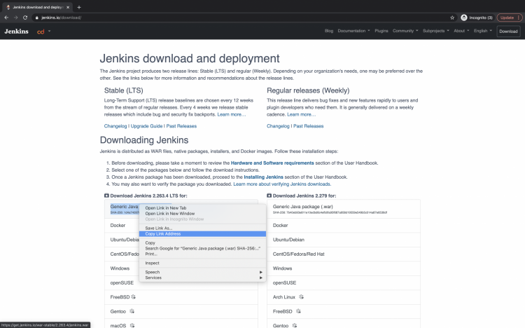 URL для загрузки jenkins.war со страницы загрузки