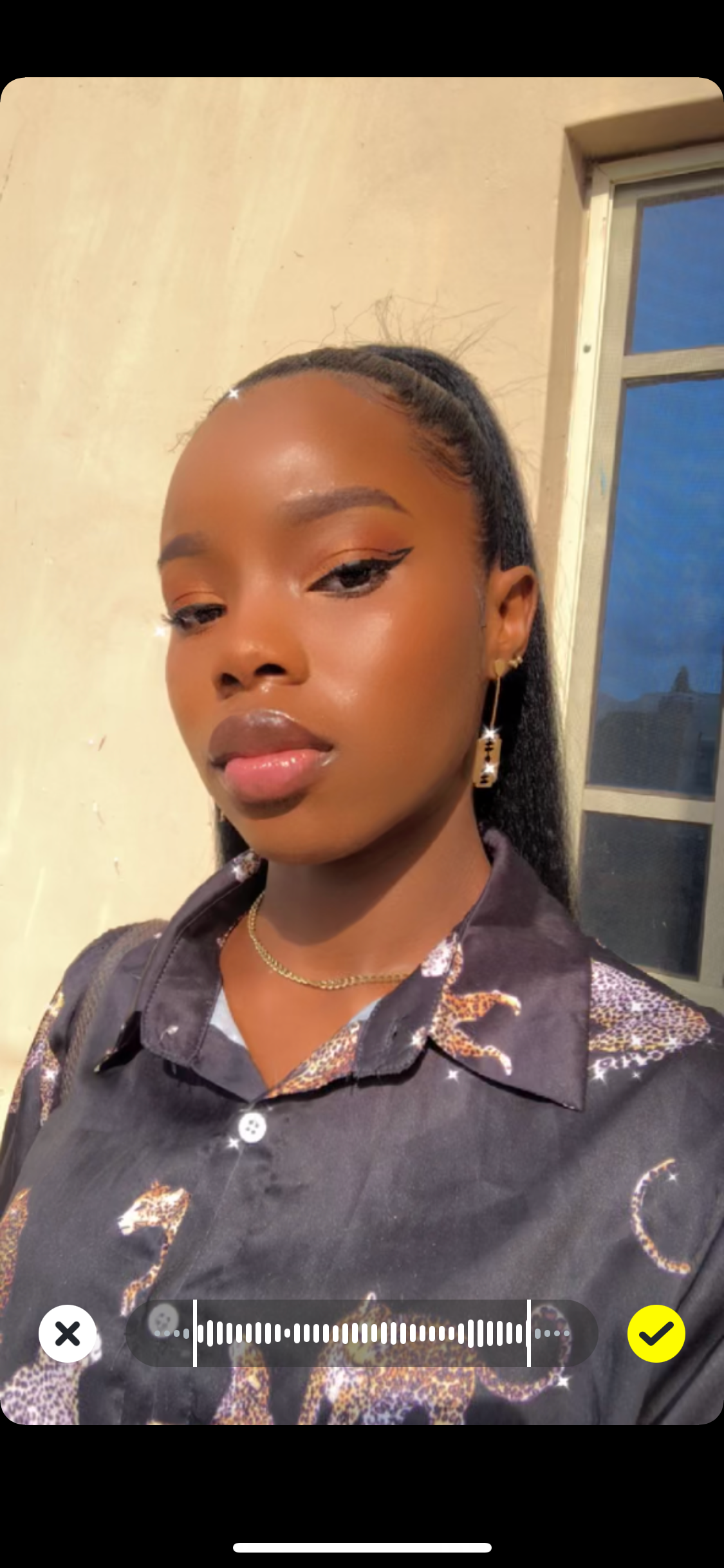 Предпросмотр музыки для Snap