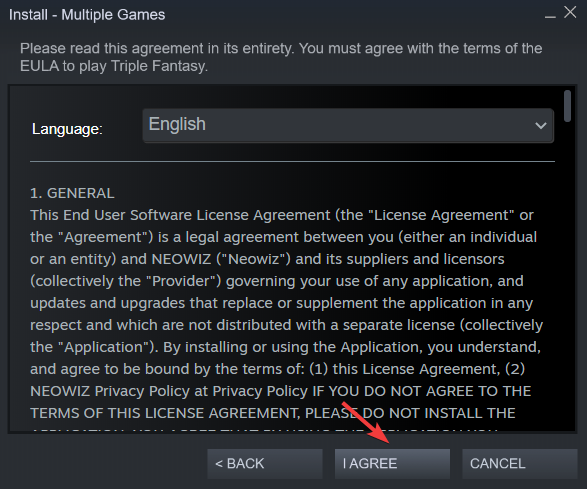 Окно соглашения и условий при установке игр