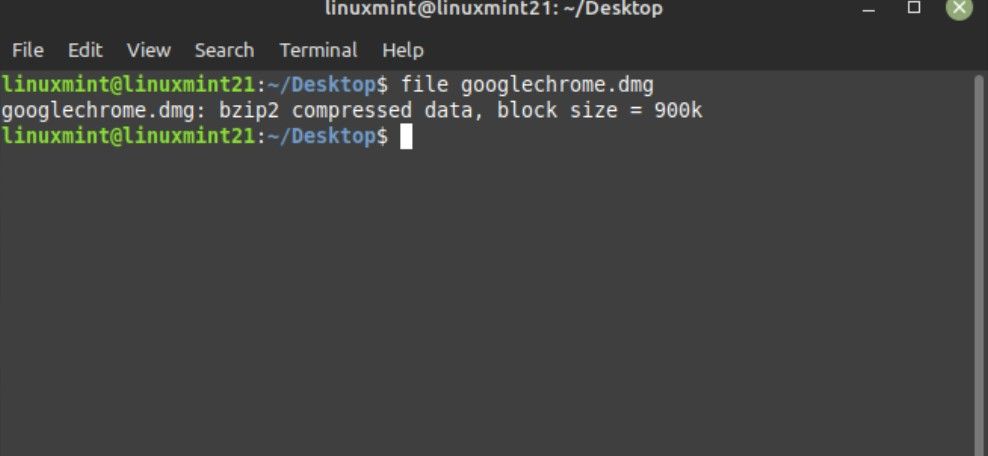 Using file command on DMG image