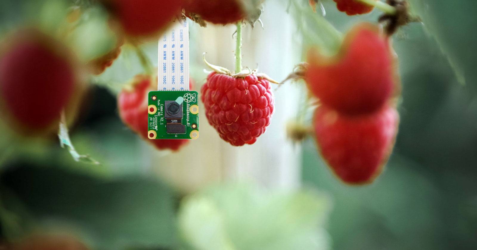 Камера Raspberry Pi: подключение и руководство