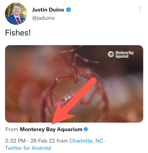 Видео будет опубликовано без присоединённого оригинального твита