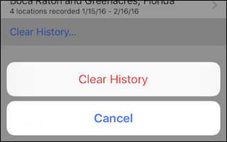 Кнопка Очистить историю в настройках iPhone