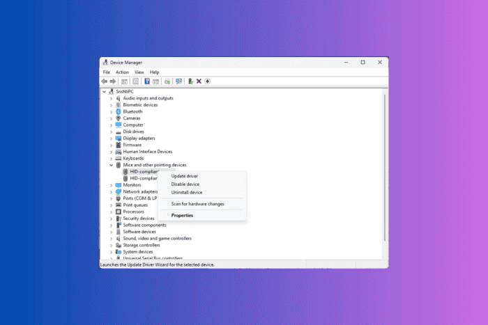 Исправление ERROR_FAILED_DRIVER_ENTRY (BSoD)