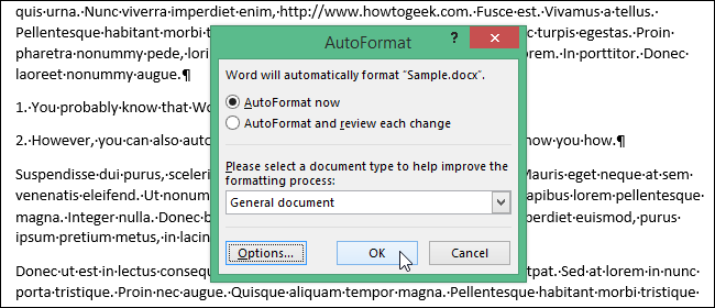 09_clicking_ok_on_autoformat_dialog