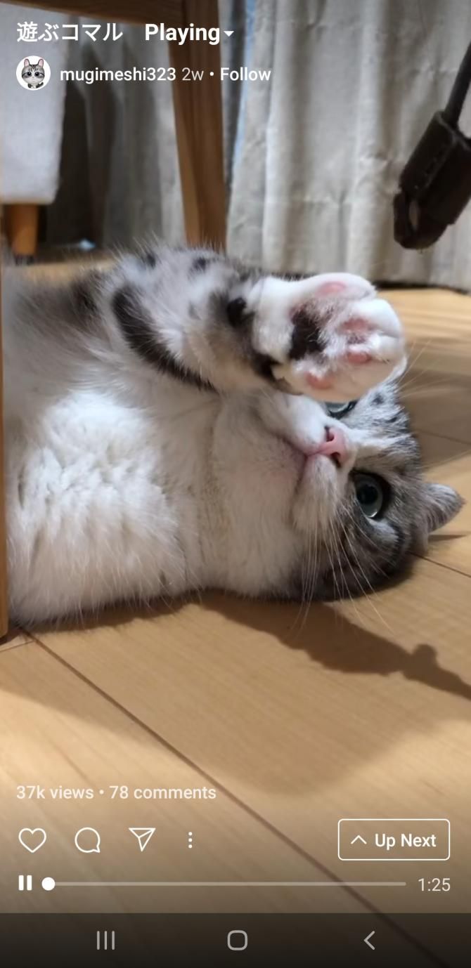 Пример видео для IGTV