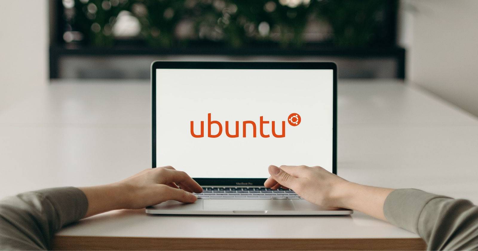 Как запустить Ubuntu, установленную на USB, в виртуальной машине Windows