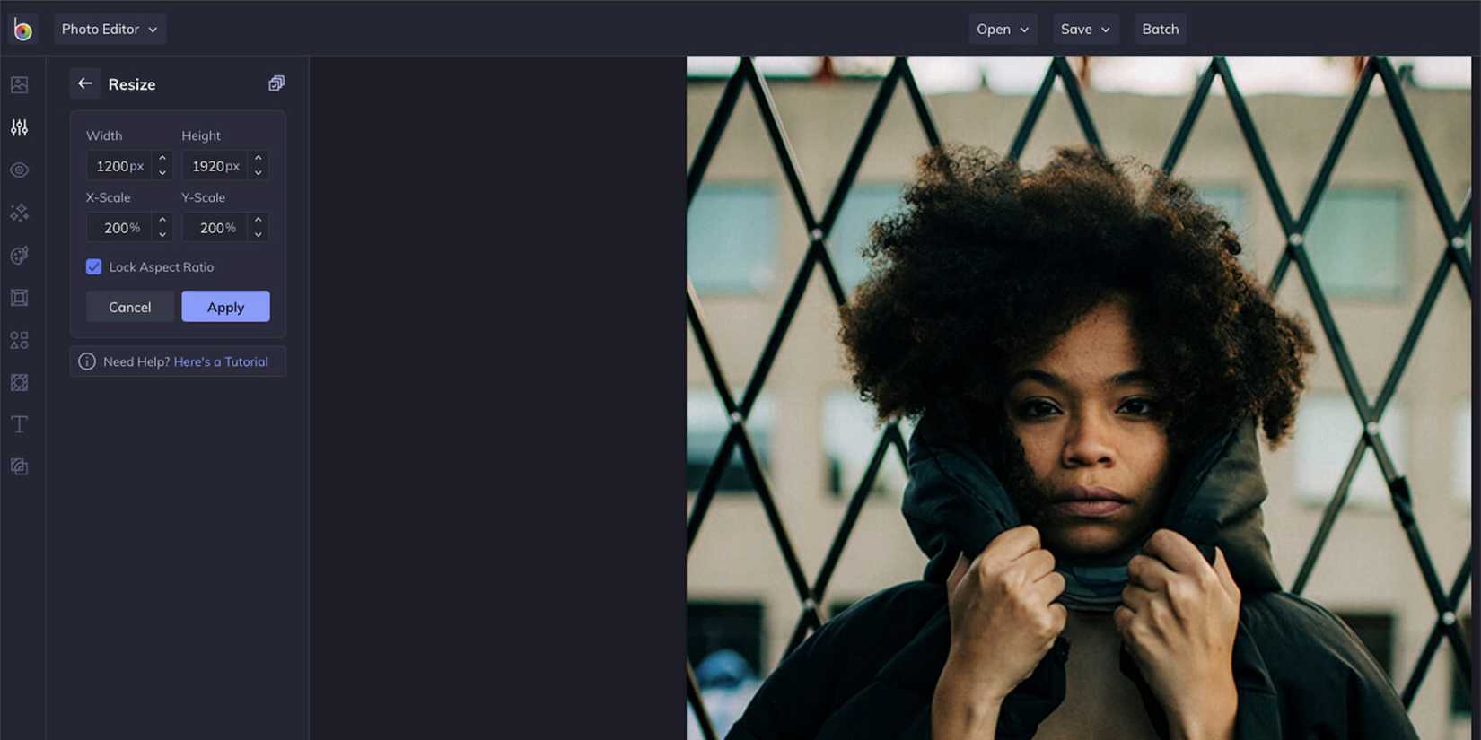 интерфейс BeFunky с параметрами изменения размера изображения