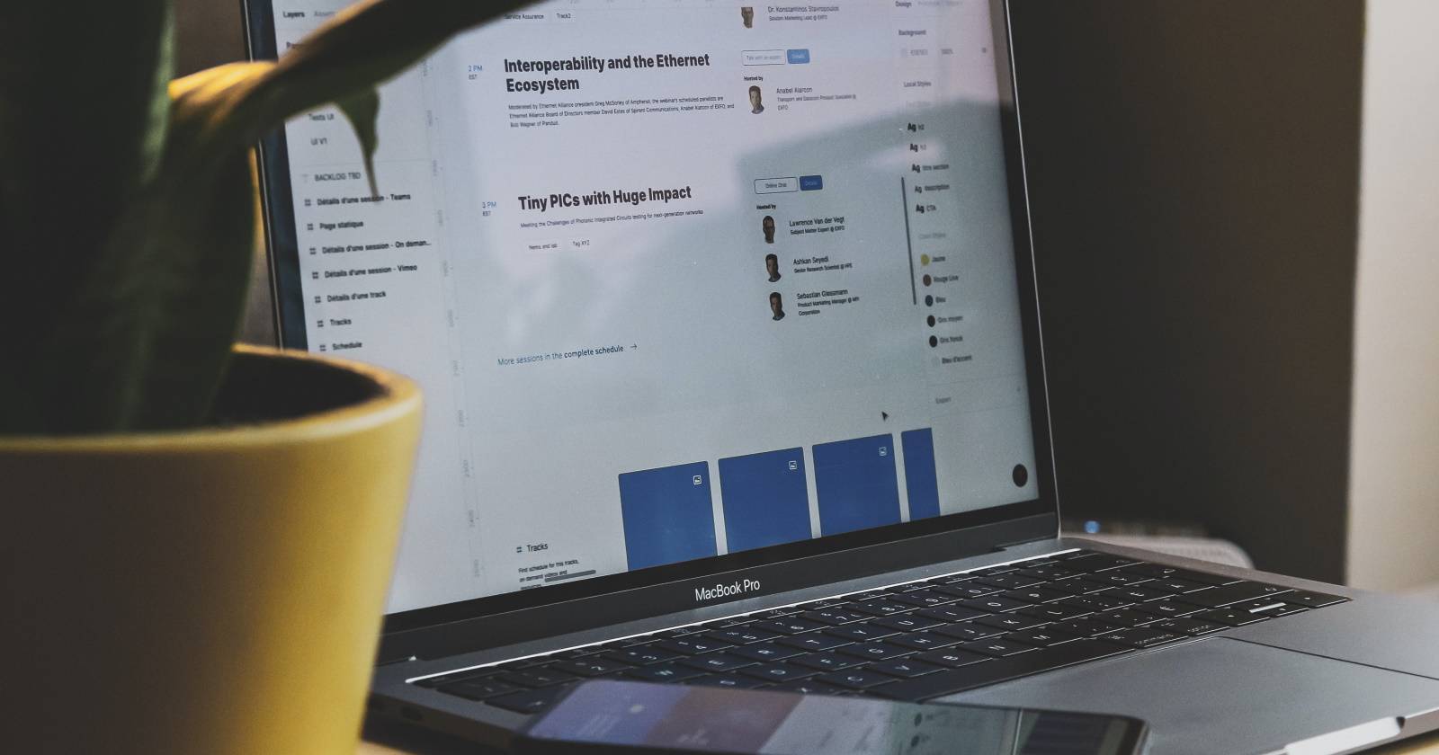 Ноутбук и растение на рабочем столе