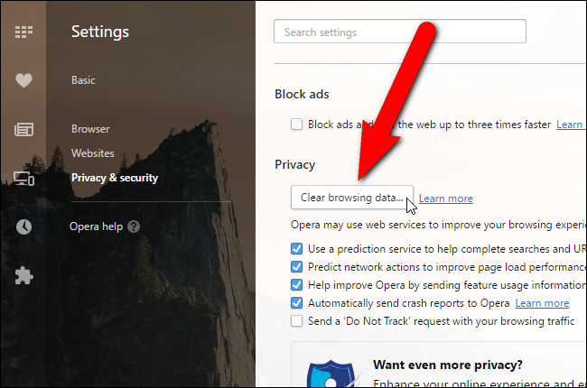 Очистка данных просмотра в Opera