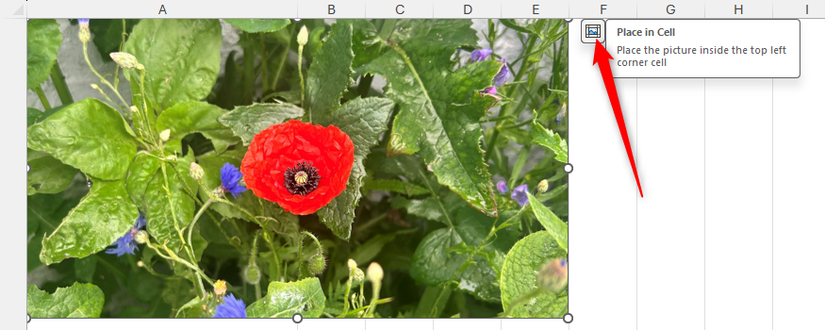 Ícone Colocar na Célula no Excel.