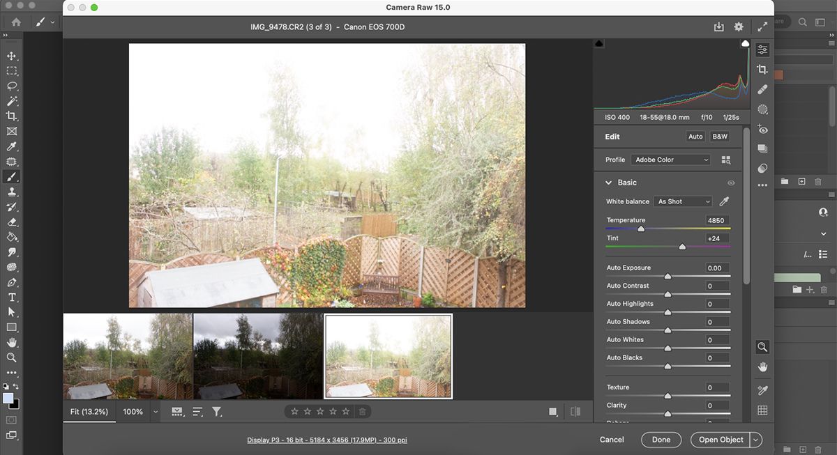 Over exposed landscape photo in Camera RAW.