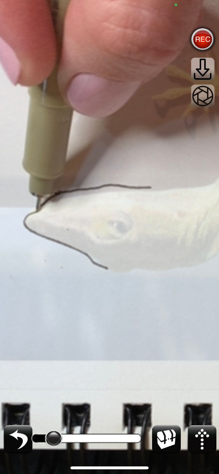 Увеличение участка изображения для прорисовки деталей