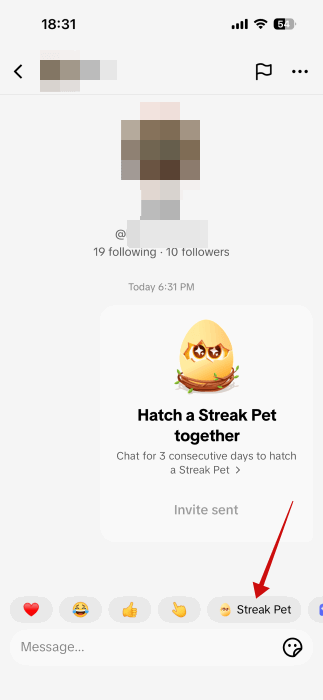 Pantalla de conversación con la opción Streak Pet visible