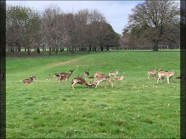 Как выглядит изображение, обрезанное для формата 8x10